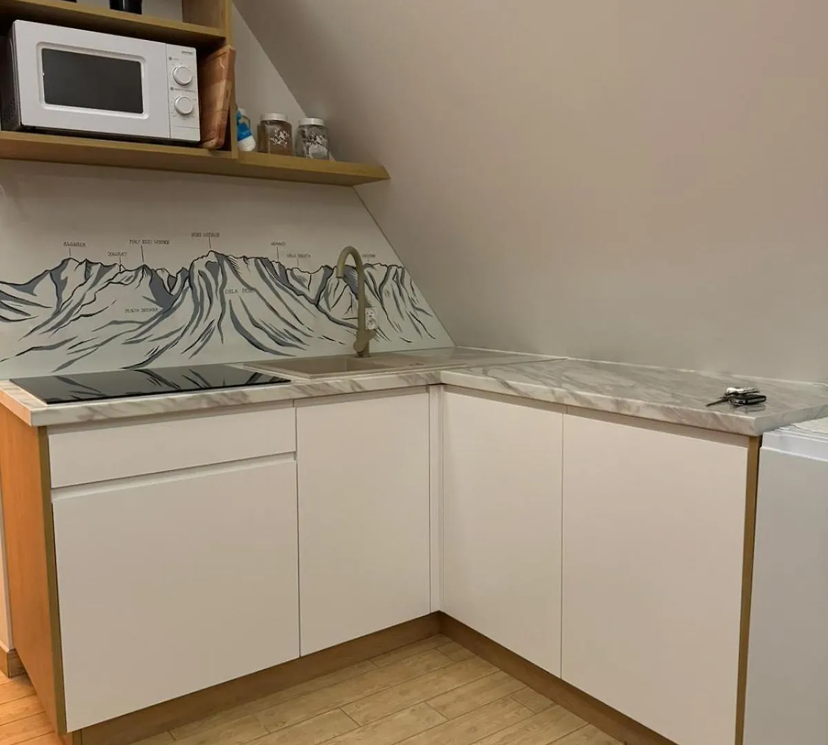 Apartment Apartamenty U Symuna Zakopane